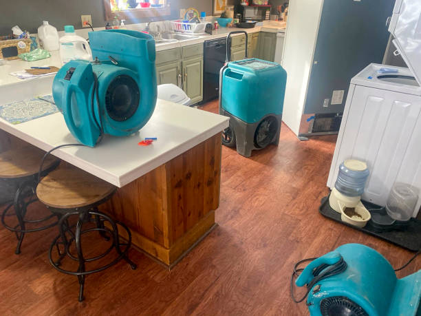 Best Fire Damage Restoration  in Pike Creek, DE