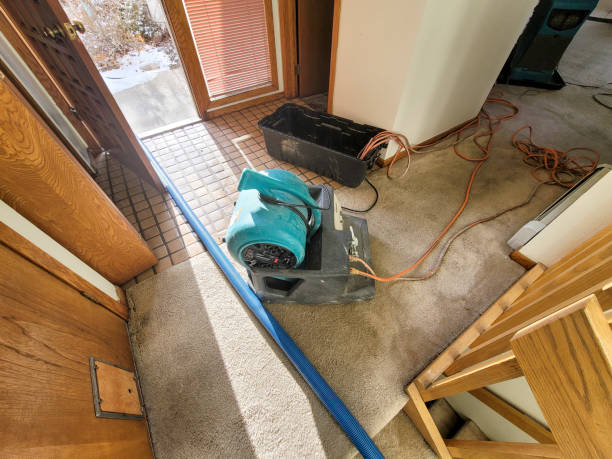 Best Mold removal after water damage  in Pike Creek, DE