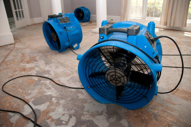Best Local water damage restoration  in Pike Creek, DE