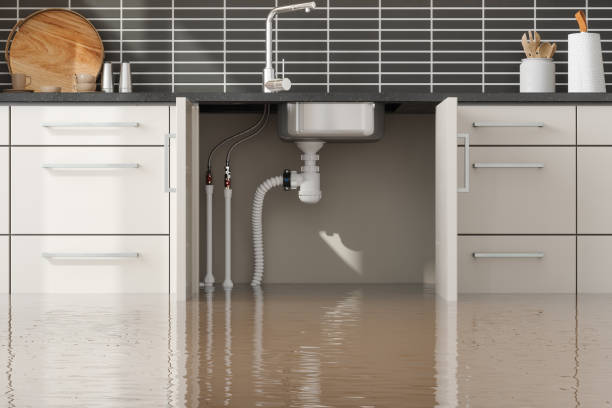 Best Ceiling water damage repair  in Pike Creek, DE