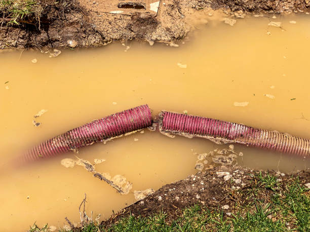 Best Water damage restoration near me  in Pike Creek, DE