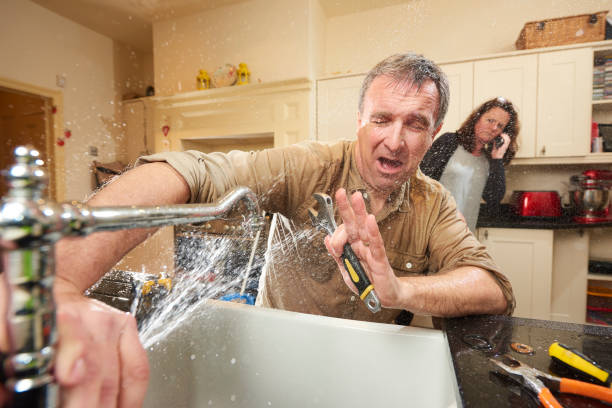 Best Mold removal after water damage  in Pike Creek, DE